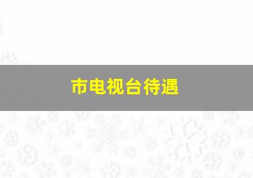 市电视台待遇