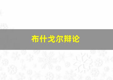 布什戈尔辩论