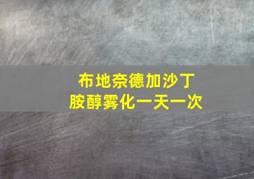 布地奈德加沙丁胺醇雾化一天一次