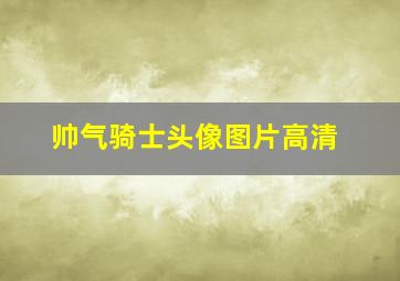 帅气骑士头像图片高清