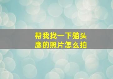 帮我找一下猫头鹰的照片怎么拍