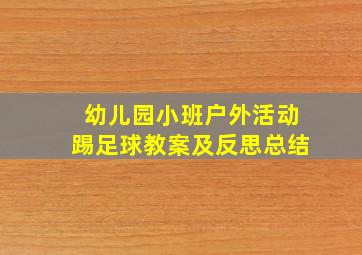 幼儿园小班户外活动踢足球教案及反思总结