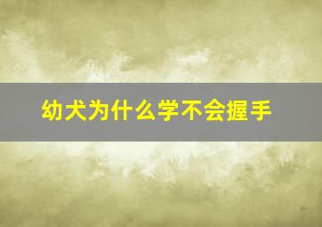 幼犬为什么学不会握手