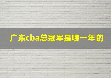 广东cba总冠军是哪一年的