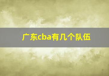 广东cba有几个队伍