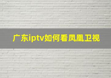 广东iptv如何看凤凰卫视