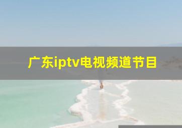 广东iptv电视频道节目