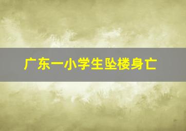 广东一小学生坠楼身亡