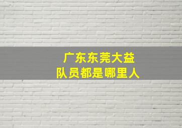 广东东莞大益队员都是哪里人