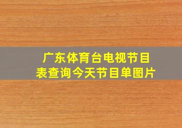 广东体育台电视节目表查询今天节目单图片