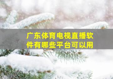 广东体育电视直播软件有哪些平台可以用