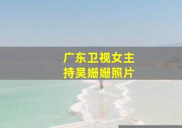 广东卫视女主持吴姗姗照片