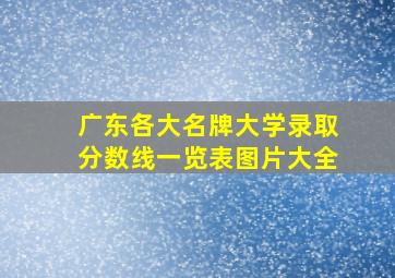 广东各大名牌大学录取分数线一览表图片大全