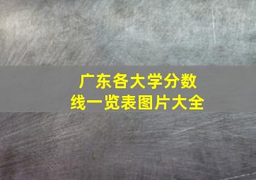 广东各大学分数线一览表图片大全