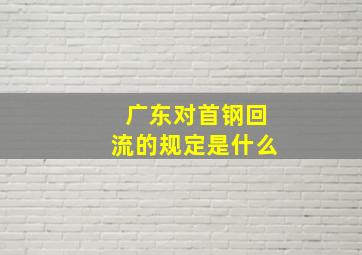 广东对首钢回流的规定是什么