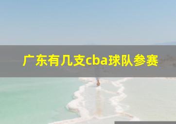 广东有几支cba球队参赛