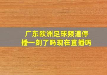 广东欧洲足球频道停播一刻了吗现在直播吗