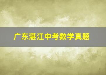 广东湛江中考数学真题