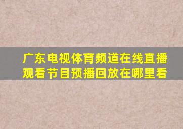 广东电视体育频道在线直播观看节目预播回放在哪里看