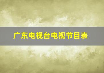 广东电视台电视节目表