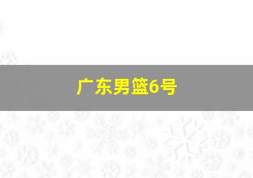 广东男篮6号