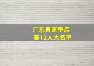 广东男篮季后赛12人大名单