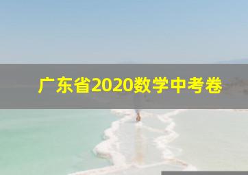 广东省2020数学中考卷