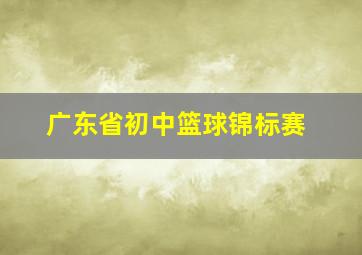 广东省初中篮球锦标赛