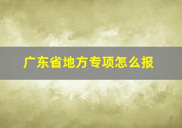 广东省地方专项怎么报