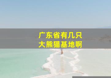 广东省有几只大熊猫基地啊