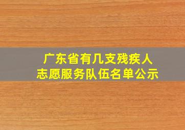 广东省有几支残疾人志愿服务队伍名单公示