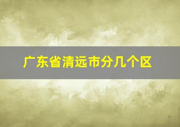 广东省清远市分几个区