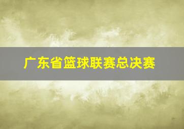 广东省篮球联赛总决赛