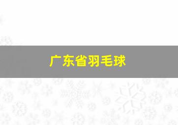 广东省羽毛球