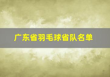 广东省羽毛球省队名单