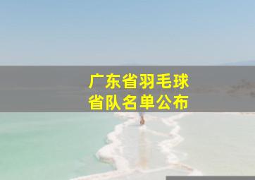 广东省羽毛球省队名单公布