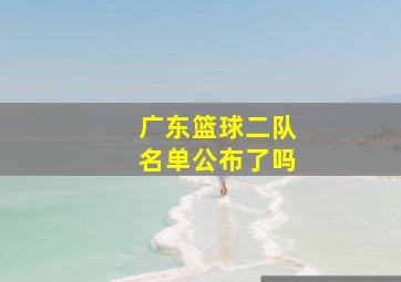 广东篮球二队名单公布了吗