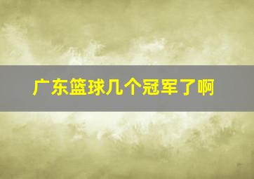 广东篮球几个冠军了啊