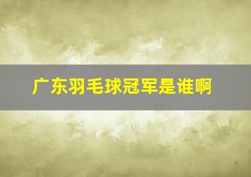 广东羽毛球冠军是谁啊