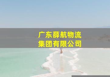 广东薛航物流集团有限公司