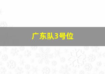 广东队3号位