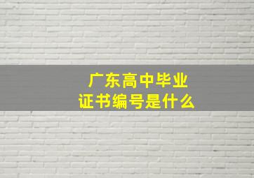 广东高中毕业证书编号是什么