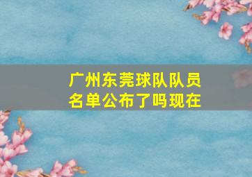 广州东莞球队队员名单公布了吗现在