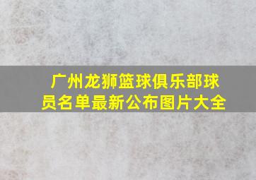 广州龙狮篮球俱乐部球员名单最新公布图片大全