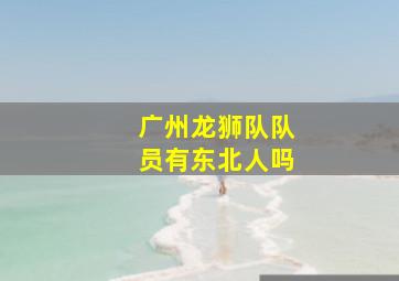 广州龙狮队队员有东北人吗