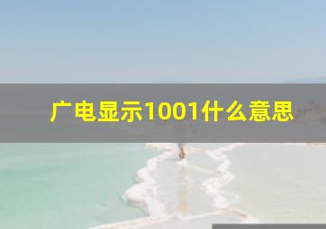 广电显示1001什么意思