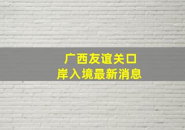 广西友谊关口岸入境最新消息