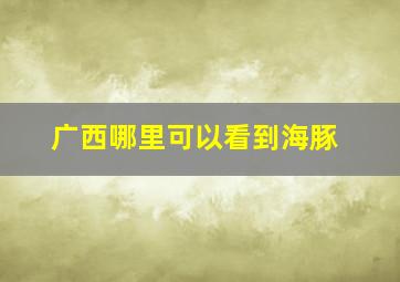 广西哪里可以看到海豚