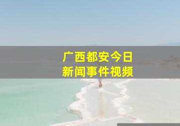 广西都安今日新闻事件视频