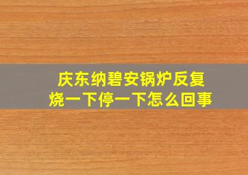 庆东纳碧安锅炉反复烧一下停一下怎么回事